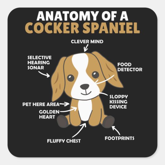 Anatomie van een Cocker Spaniel Cute Dogs Puppy Vierkante Sticker (Voorkant)