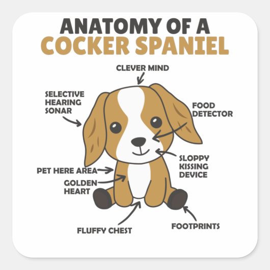 Anatomie van een Cocker Spaniel Cute Dogs Puppy Vierkante Sticker (Voorkant)