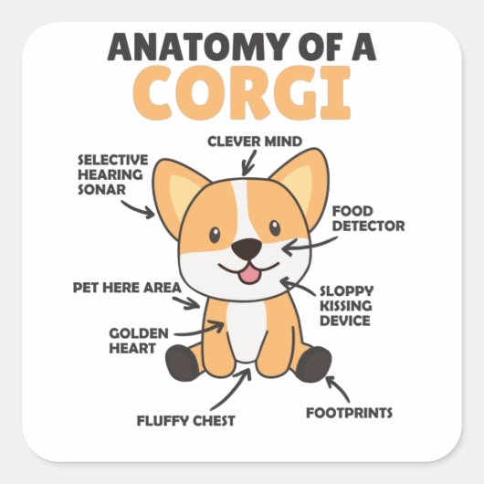 Anatomie van een Corgi Cute Dogs Funny Puppy Vierkante Sticker (Voorkant)