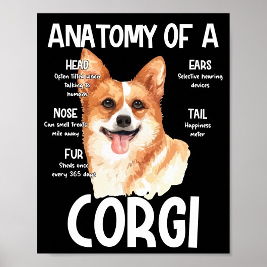 Anatomie van een Corgi voor Hondenliefhebbers Poster (Voorkant)
