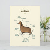 Anatomie van een dachshund | Dachshund-Hondenliefh (Staand voorkant)