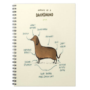 Anatomie van een dachshund   Dachshund-Hondenliefh Notitieboek