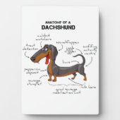 Anatomie van een dachshund - Funny Dog Fotoplaat (voorkant)
