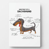 Anatomie van een dachshund - Funny Dog Fotoplaat (voorkant)