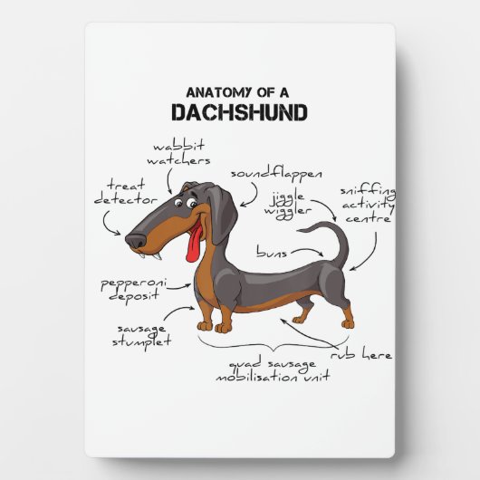 Anatomie van een dachshund - Funny Dog Fotoplaat (voorkant)