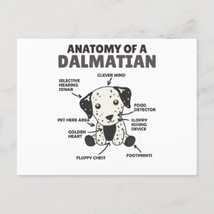 Anatomie van een Dalmatische zoete honden Funny Pu Briefkaart