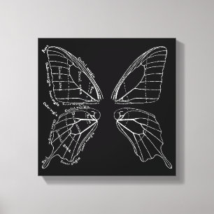 Anatomie van een diagram van een vlindervleugel canvas afdruk