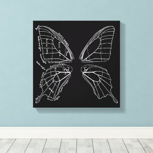 Anatomie van een  diagram van een vlindervleugel canvas afdruk (Insitu (Houten vloer))
