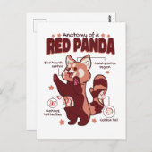 Anatomie van een Dierenvriend van de Rode Panda Briefkaart (Voorkant / Achterkant)