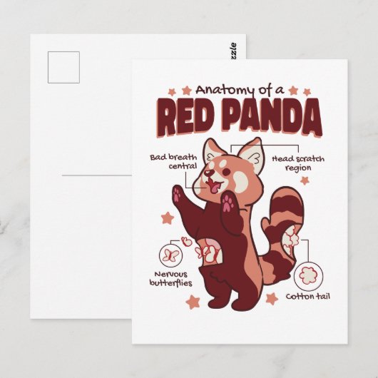 Anatomie van een Dierenvriend van de Rode Panda Briefkaart (Voorkant / Achterkant)
