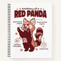 Anatomie van een Dierenvriend van de Rode Panda
