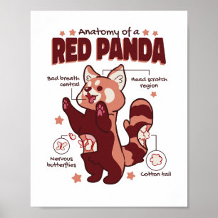 Anatomie van een Dierenvriend van de Rode Panda Poster