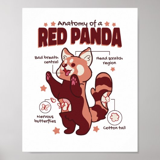 Anatomie van een Dierenvriend van de Rode Panda Poster (Voorkant)