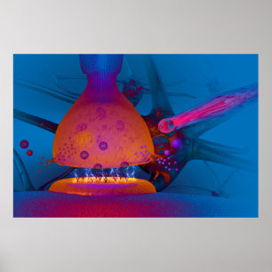 Anatomie van een discussie poster