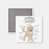Anatomie van een Doodle Dog Magneet (Voorkant / Achterkant)