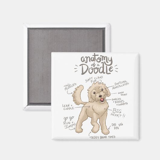 Anatomie van een Doodle Dog Magneet (Voorkant / Achterkant)