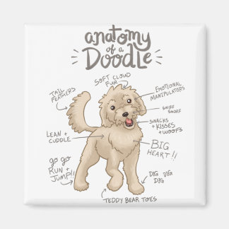 Anatomie van een Doodle Dog Magneet