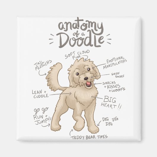 Anatomie van een Doodle Dog Magneet (Voorkant)