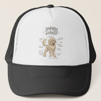 Anatomie van een Doodle Dog Trucker Pet