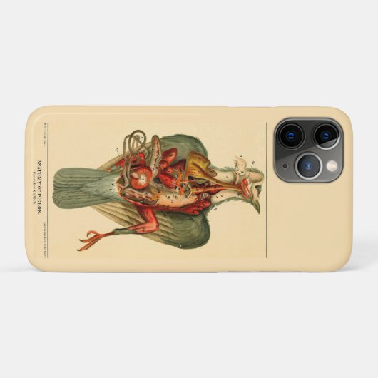 Anatomie van een duif Case-Mate iPhone case (Achterkant (horizontaal))