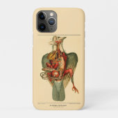Anatomie van een duif Case-Mate iPhone case (Achterkant)