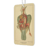 Anatomie van een duif luchtverfrisser (Links)