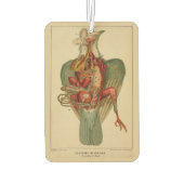 Anatomie van een duif luchtverfrisser (Achterkant)