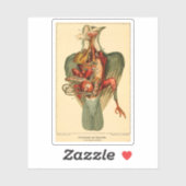 Anatomie van een duif sticker (Vel)