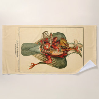 Anatomie van een duif strandlaken