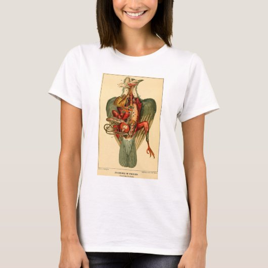 Anatomie van een duif t-shirt (Voorkant)