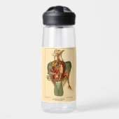 Anatomie van een duif waterfles (Voorkant)