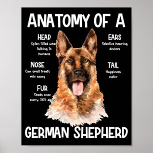 Anatomie van een Duitse herder voor Hondenliefhebb Poster
