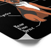 Anatomie van een Duitse herderhond Poster (Hoek)