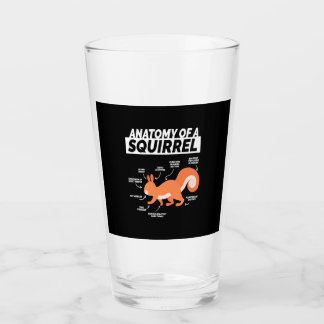 Anatomie van een eekhoorn glas