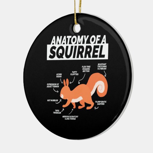 Anatomie van een eekhoorn keramisch ornament (Links)