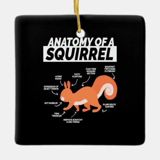 Anatomie van een eekhoorn keramisch ornament (Voorkant)