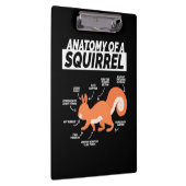 Anatomie van een eekhoorn klembord (Rechts)