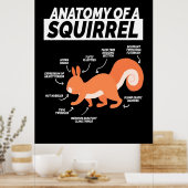 Anatomie van een eekhoorn poster (Keuken)