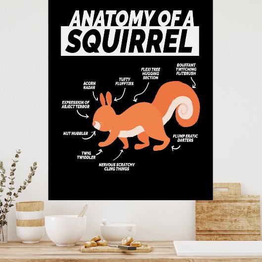 Anatomie van een eekhoorn poster (Keuken)