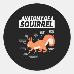 Anatomie van een eekhoorn ronde sticker