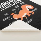 Anatomie van een eekhoorn sherpa deken (3/4)