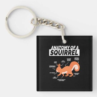 Anatomie van een eekhoorn sleutelhanger