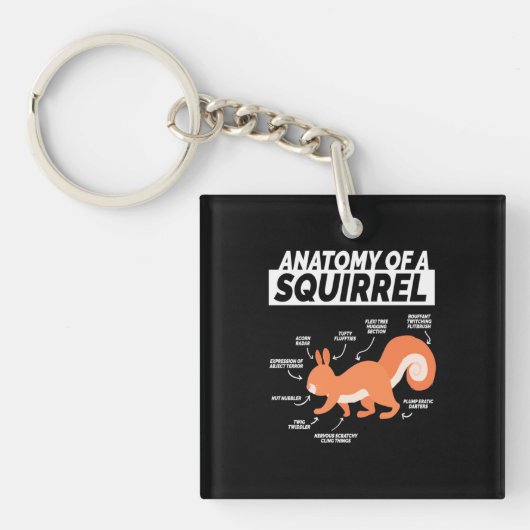 Anatomie van een eekhoorn sleutelhanger (Voorkant)