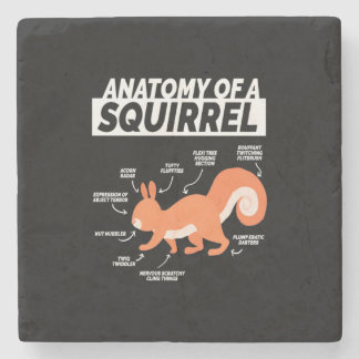 Anatomie van een eekhoorn stenen onderzetter