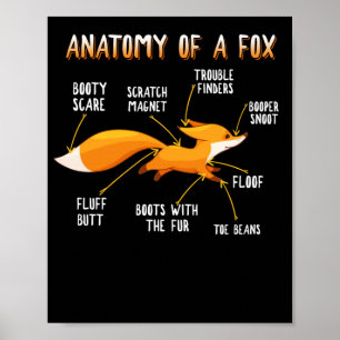 Anatomie van een fox Cute Sweet Carnivore Animal G Poster