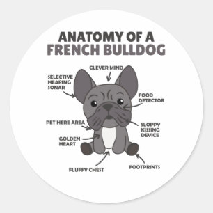 Anatomie van een Franse bulledog Dogs Funny Puppy Ronde Sticker