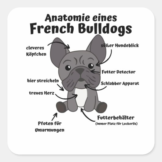 Anatomie van een Franse bulledog Dogs Funny Puppy Vierkante Sticker (Voorkant)