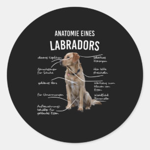 Anatomie van een Funny Labrador Retriever Dog Ronde Sticker