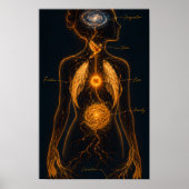 Anatomie van een Gevoel Poster (Voorkant)