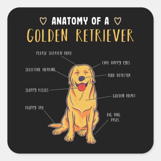 Anatomie van een Golden Retriever Funny Gift Vierkante Sticker (Voorkant)